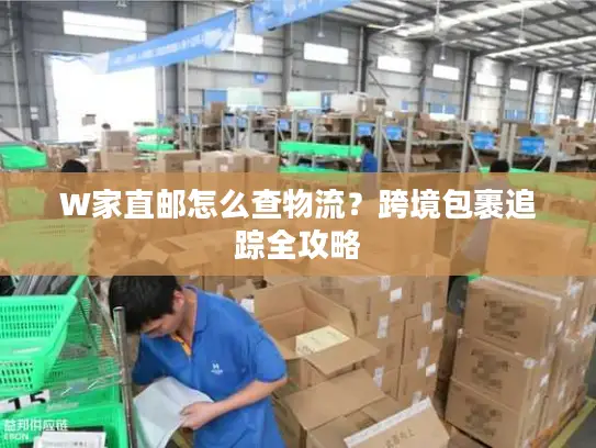 W家直邮怎么查物流？跨境包裹追踪全攻略