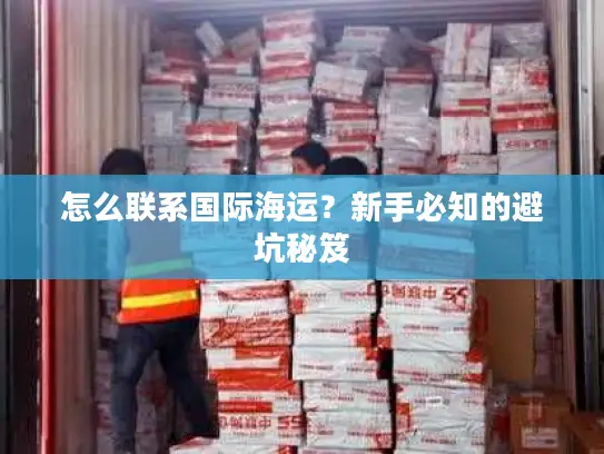 怎么联系国际海运？新手必知的避坑秘笈