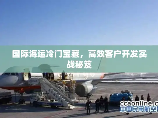国际海运冷门宝藏，高效客户开发实战秘笈
