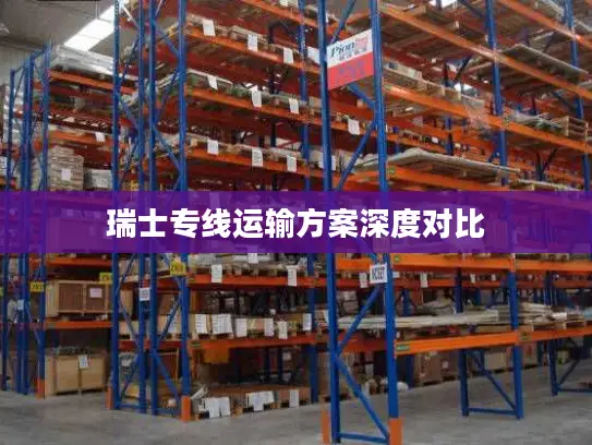 瑞士专线运输方案深度对比