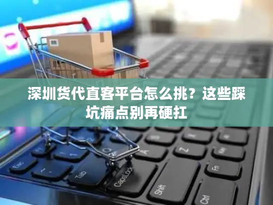 深圳货代直客平台怎么挑？这些踩坑痛点别再硬扛