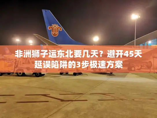 非洲狮子运东北要几天？避开45天延误陷阱的3步极速方案