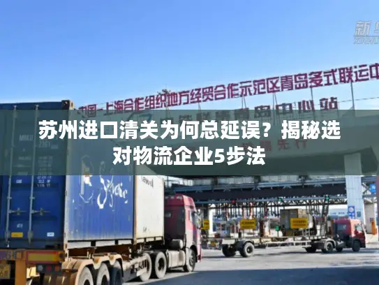 苏州进口清关为何总延误？揭秘选对物流企业5步法