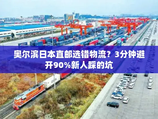 奥尔滨日本直邮选错物流？3分钟避开90%新人踩的坑