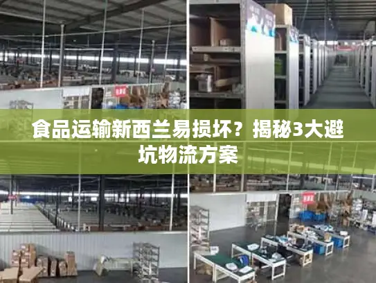 食品运输新西兰易损坏？揭秘3大避坑物流方案