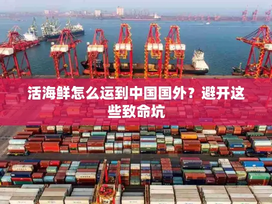 活海鲜怎么运到中国国外？避开这些致命坑