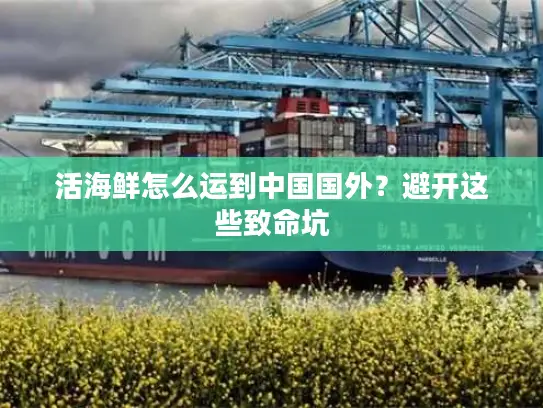 活海鲜怎么运到中国国外？避开这些致命坑