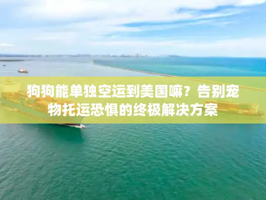 狗狗能单独空运到美国嘛？告别宠物托运恐惧的终极解决方案