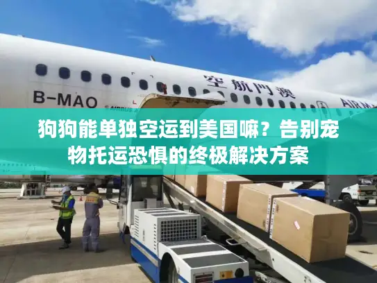 狗狗能单独空运到美国嘛？告别宠物托运恐惧的终极解决方案