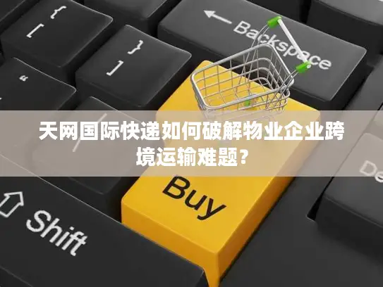 天网国际快递如何破解物业企业跨境运输难题？