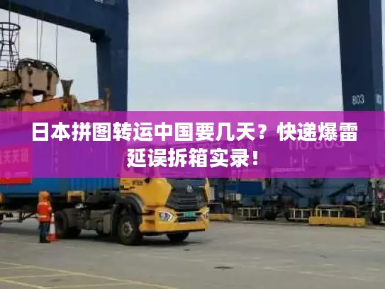 日本拼图转运中国要几天？快递爆雷延误拆箱实录！