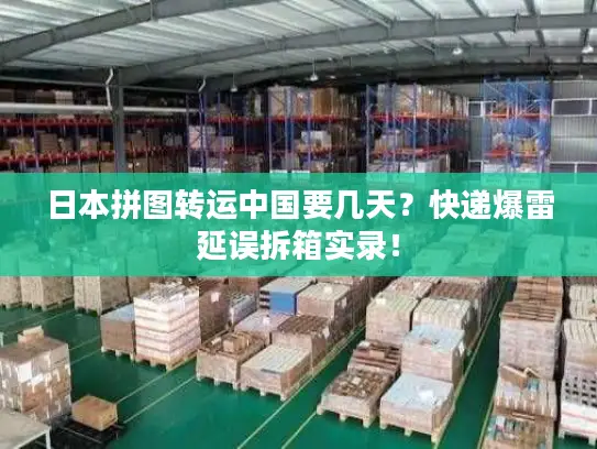 日本拼图转运中国要几天？快递爆雷延误拆箱实录！