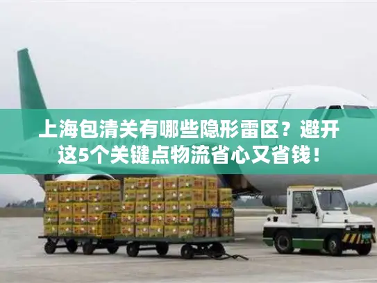 上海包清关有哪些隐形雷区？避开这5个关键点物流省心又省钱！