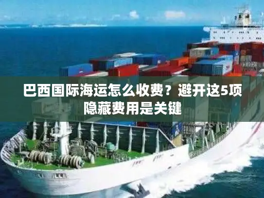 巴西国际海运怎么收费？避开这5项隐藏费用是关键