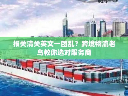 报关清关英文一团乱？跨境物流老鸟教你选对服务商