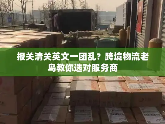 报关清关英文一团乱？跨境物流老鸟教你选对服务商