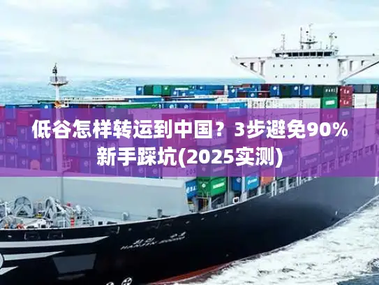 低谷怎样转运到中国？3步避免90%新手踩坑(2025实测)