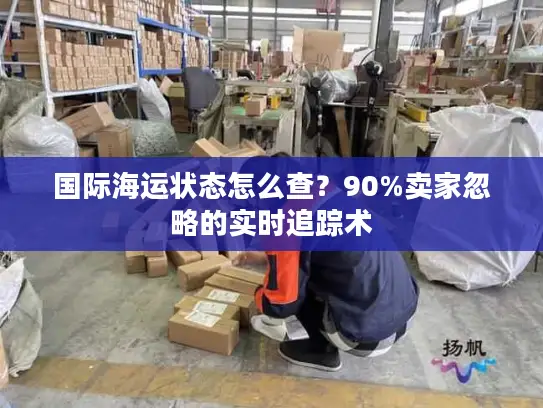 国际海运状态怎么查？90%卖家忽略的实时追踪术
