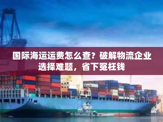国际海运运费怎么查？破解物流企业选择难题，省下冤枉钱