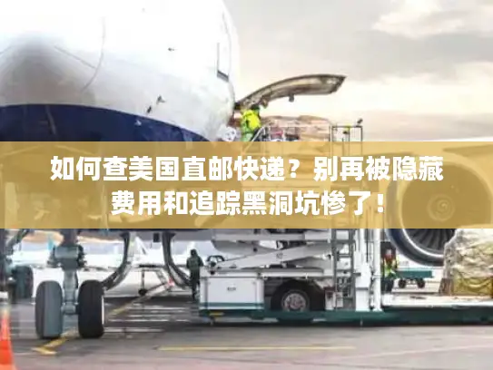 如何查美国直邮快递？别再被隐藏费用和追踪黑洞坑惨了！