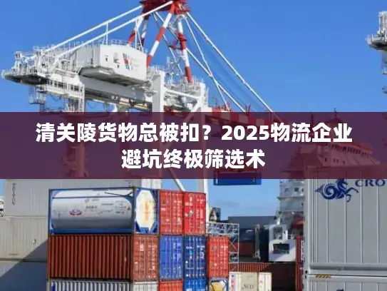 清关陵货物总被扣？2025物流企业避坑终极筛选术