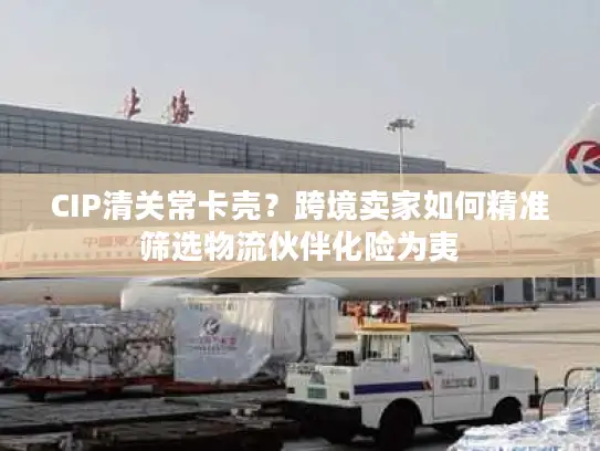 CIP清关常卡壳？跨境卖家如何精准筛选物流伙伴化险为夷