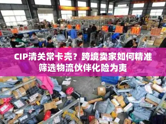 CIP清关常卡壳？跨境卖家如何精准筛选物流伙伴化险为夷