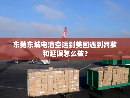 东莞东城电池空运到美国遇到罚款和延误怎么破？
