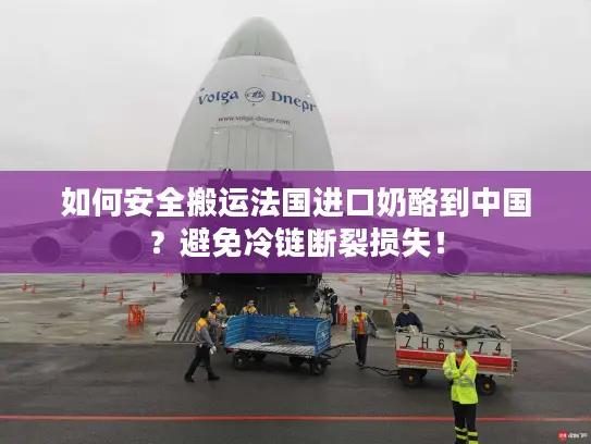 如何安全搬运法国进口奶酪到中国？避免冷链断裂损失！