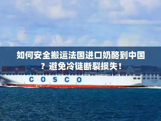 如何安全搬运法国进口奶酪到中国？避免冷链断裂损失！