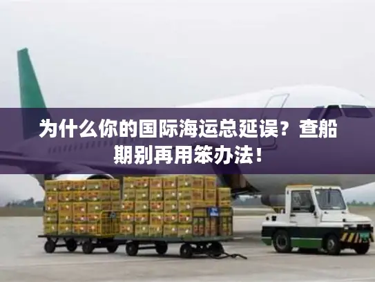 为什么你的国际海运总延误？查船期别再用笨办法！