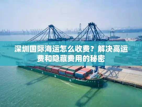 深圳国际海运怎么收费？解决高运费和隐藏费用的秘密