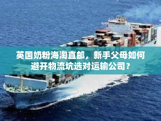 英国奶粉海淘直邮,新手父母如何避开物流坑选对运输公司? 英国奶粉海淘直邮,新手父母如何避开物流坑选对运输公司?