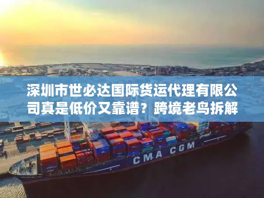 深圳市世必达国际货运代理有限公司真是低价又靠谱？跨境老鸟拆解物流选择陷阱