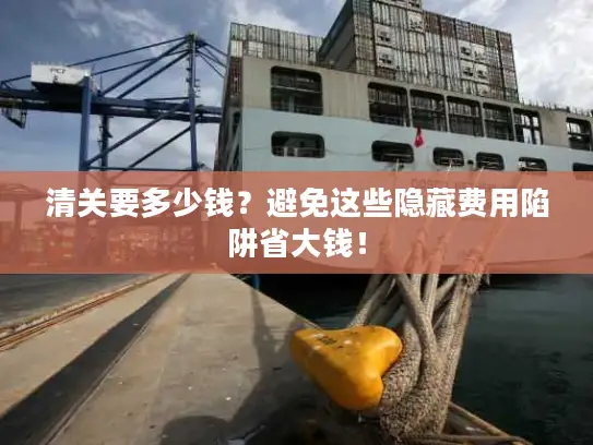 清关要多少钱？避免这些隐藏费用陷阱省大钱！