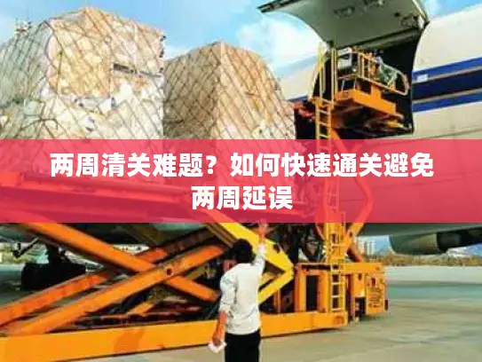 两周清关难题？如何快速通关避免两周延误