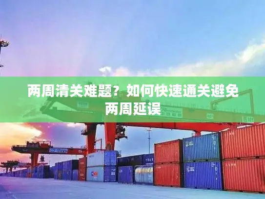 两周清关难题？如何快速通关避免两周延误