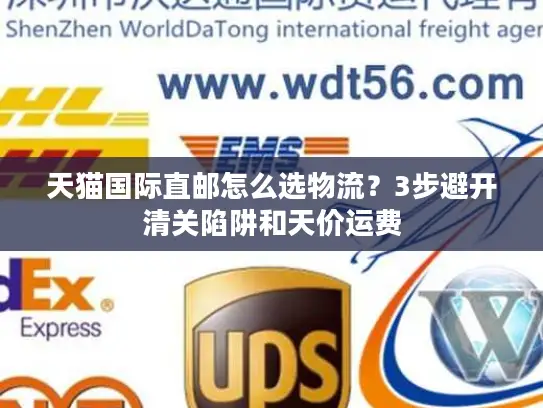 天猫国际直邮怎么选物流？3步避开清关陷阱和天价运费