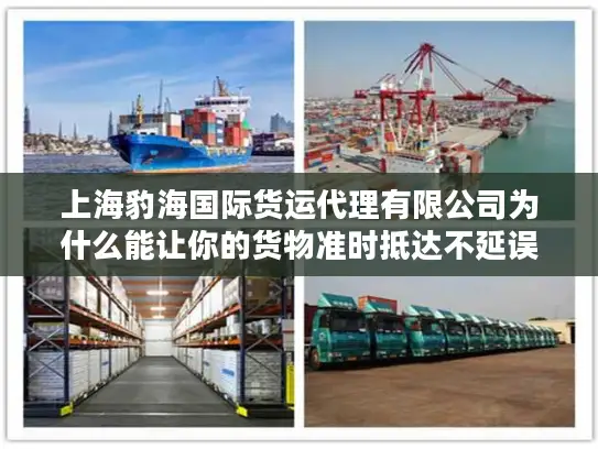 上海豹海国际货运代理有限公司为什么能让你的货物准时抵达不延误？