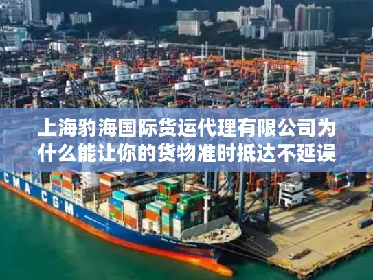 上海豹海国际货运代理有限公司为什么能让你的货物准时抵达不延误？
