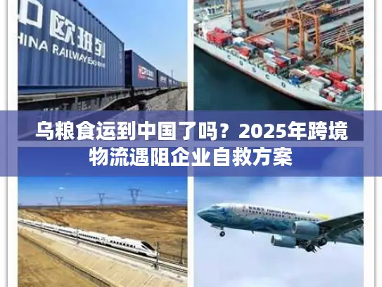 乌粮食运到中国了吗？2025年跨境物流遇阻企业自救方案