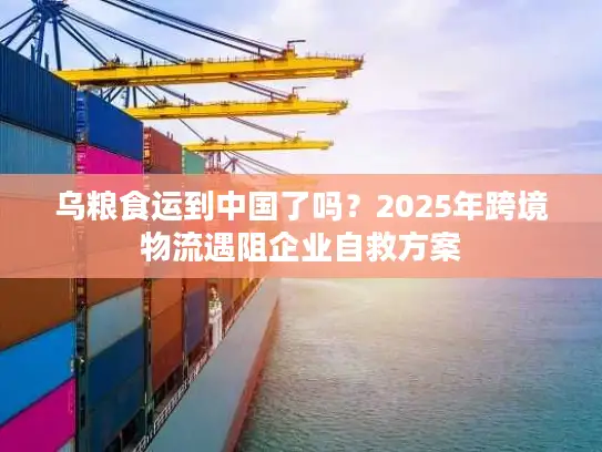 乌粮食运到中国了吗？2025年跨境物流遇阻企业自救方案