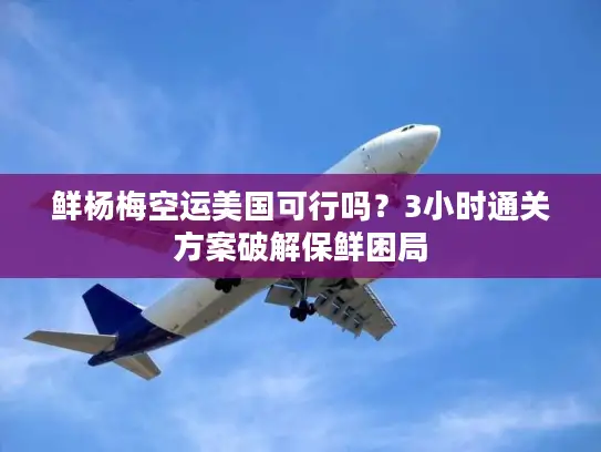 鲜杨梅空运美国可行吗？3小时通关方案破解保鲜困局