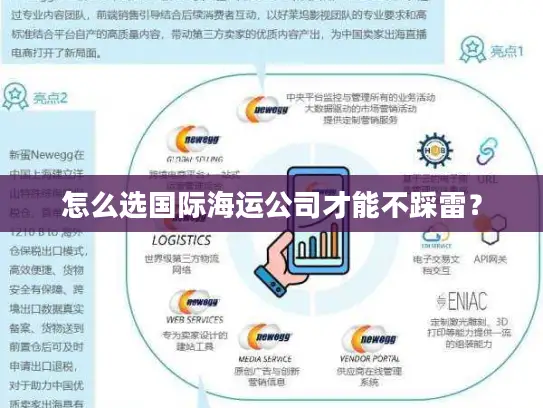怎么选国际海运公司才能不踩雷？