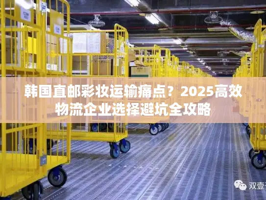 韩国直邮彩妆运输痛点？2025高效物流企业选择避坑全攻略