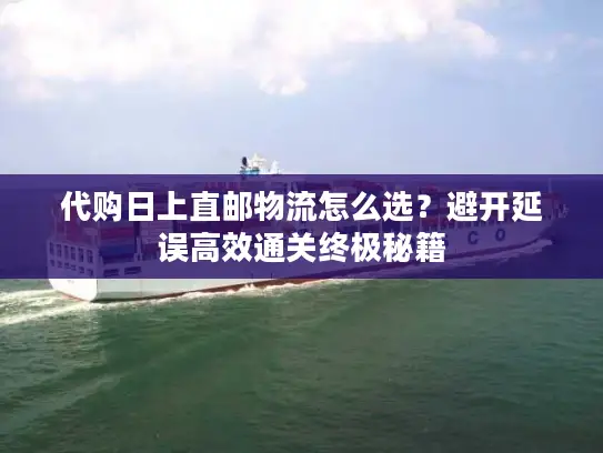 代购日上直邮物流怎么选？避开延误高效通关终极秘籍