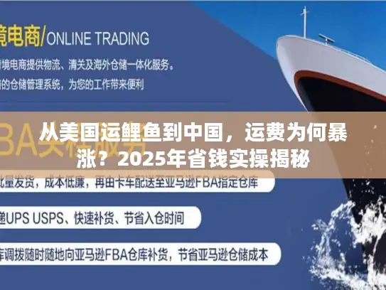 从美国运鲤鱼到中国，运费为何暴涨？2025年省钱实操揭秘