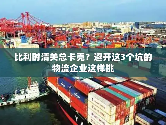 比利时清关总卡壳？避开这3个坑的物流企业这样挑