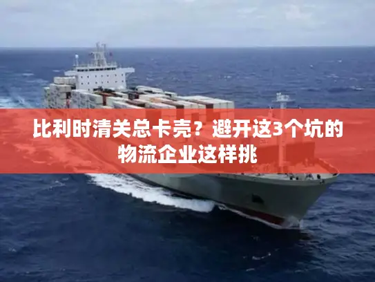 比利时清关总卡壳？避开这3个坑的物流企业这样挑