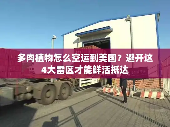 多肉植物怎么空运到美国？避开这4大雷区才能鲜活抵达